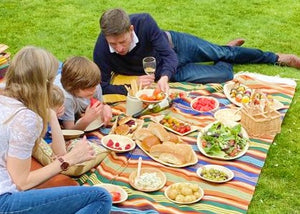 Wholeleaf Tableware or a Parent's Superhero?