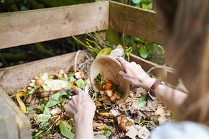 Wholeleaf Tableware: Sustainable, Compostable, Lifecycle+ Impact on the Earth