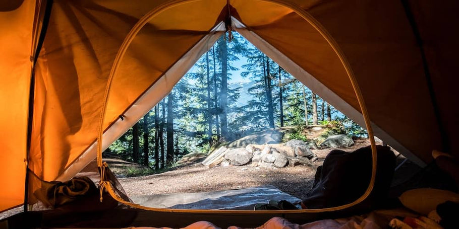 Wholeleaf Tableware: A Camping Essential